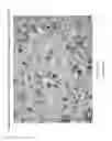 Fig. 09 - Cheese Anticake for Enhanced Melt