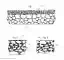 Fig. 02 - PERVIOUS CONCRETE PERMEABLE GROUT