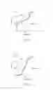 Fig. 07 - HIGHLY CRYSTALLINE POLYETHYLENE