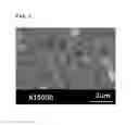 Fig. 02 - Zinc oxide-cellulose nanocomposite and preparation method thereof
