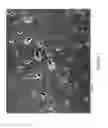Fig. 02 - WEAR-RESISTANT CLADDINGS