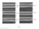 Fig. 02 - Brazing sheet core alloy for heat exchanger