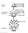 Fig. 08 - Complexometric precursor formulation methodology for industrial production of fine and ultrafine powders and nanopowders for lithium metal oxides for battery applications