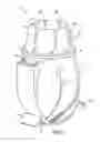 Fig. 02 - DEVICE FOR DENTAL, CLEANING, OR OTHER PROCEDURE