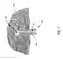 Fig. 08 - ROOT CANAL FOR TISSUE IN-GROWTH