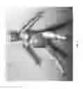 Fig. 02 - Birthing simulation devices, systems, and methods