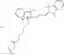 Fig. 08 - Dendrimeric dye-containing oligonucleotide probes and methods of preparation and uses thereof