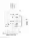 Fig. 08 - Mixing of fluids in fluidic systems