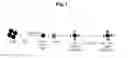 Fig. 02 - Method for manufacturing multi-functional bio-material conjugate using two kinds of particle, and multi-functional bio-material conjugate manufactured by means of same