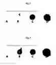 Fig. 04 - Method for manufacturing multi-functional bio-material conjugate using two kinds of particle, and multi-functional bio-material conjugate manufactured by means of same