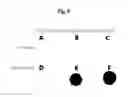 Fig. 09 - Method for manufacturing multi-functional bio-material conjugate using two kinds of particle, and multi-functional bio-material conjugate manufactured by means of same