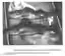 Fig. 01 - Blue fluorescent protein and methods of use thereof