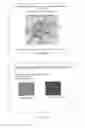 Fig. 17 - Blue fluorescent protein and methods of use thereof