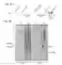 Fig. 06 - NOVEL RETROELEMENT FOUND IN MOLLUSKS