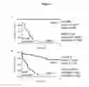 Fig. 06 - DIAGNOSTIC TEST FOR PREDICTING METASTASIS AND RECURRENCE IN CUTANEOUS MELANOMA