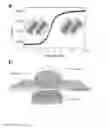Fig. 02 - Nanosplasmonic imaging technique for the spatio-temporal mapping of single cell secretions in real time