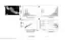 Fig. 06 - SUPER-RESOLUTION FLUORESCENCE LOCALIZATION MICROSCOPY