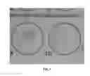 Fig. 02 - Serological methods and diagnostic tests for syphilis antibodies