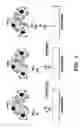 Fig. 06 - Method and device for rapid detection of bacterial antibiotic resistance/susceptibility