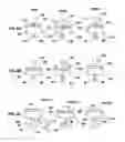 Fig. 06 - Methods for high throughput sperm sorting