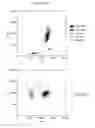Fig. 08 - Reagents, systems and methods for analyzing white blood cells