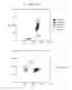 Fig. 09 - Reagents, systems and methods for analyzing white blood cells