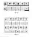 Fig. 09 - Method and composition for staining and processing a urine sample