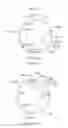 Fig. 45 - MANUFACTURING METHODS TO CONTROL C-TERMINAL LYSINE, GALACTOSE AND SIALIC ACID CONTENT IN RECOMBINANT PROTEINS