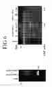 Fig. 06 - Methods and compositions for inactivating alpha 1,6 fucosyltransferase (FUT8) gene expression