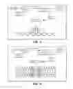 Fig. 09 - ENZYME SUBSTRATE COMPRISING A FUNCTIONAL DYE AND ASSOCIATED TECHNOLOGY AND METHODS