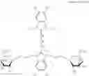 Fig. 43 - ENZYME SUBSTRATE COMPRISING A FUNCTIONAL DYE AND ASSOCIATED TECHNOLOGY AND METHODS
