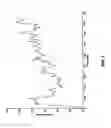 Fig. 04 - Host cells with artificial endosymbionts