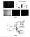 Fig. 05 - Label-free identification of stem cell-differentiated cells