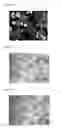 Fig. 45 - Artificial immune system: methods of use