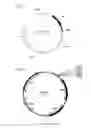 Fig. 08 - Use of clostridial methyltransferases for generating novel strains