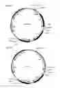 Fig. 09 - Use of clostridial methyltransferases for generating novel strains