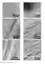 Fig. 01 - Light induced nanowire assembly