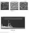 Fig. 02 - Formulations And Methods For Surface Cleaning And Passivation of CdTe Substrates