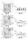 Fig. 06 - Double patterning method