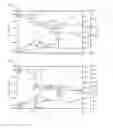 Fig. 02 - Composition for forming titanium-containing resist underlayer film and patterning process