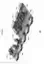 Fig. 02 - HIGH-DENSITY MULTIDIRECTIONAL MIDPLANE