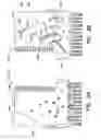Fig. 04 - MATING INTERFACES FOR HIGH SPEED HIGH DENSITY ELECTRICAL CONNECTOR