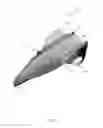 Fig. 09 - Safety buoy
