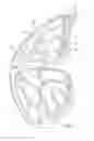 Fig. 06 - Toy with an illuminable movable portion