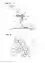 Fig. 05 - Polishing apparatus and polishing method