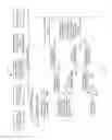 Fig. 04 - System and method of revealing the outcomes of real world wagers through timed reveals and reveal decay