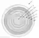 Fig. 01 - GOLF BALL CONSTRUCTION