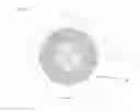 Fig. 02 - GOLF BALL CONSTRUCTION