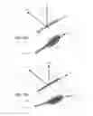 Fig. 65 - Tennis racquet with adjustable frame isolation