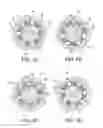 Fig. 06 - Bi-directional overrunning clutch with improved indexing mechanism